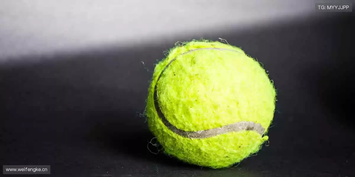 📺 实时解说,带你沉浸式感受赛场心跳!